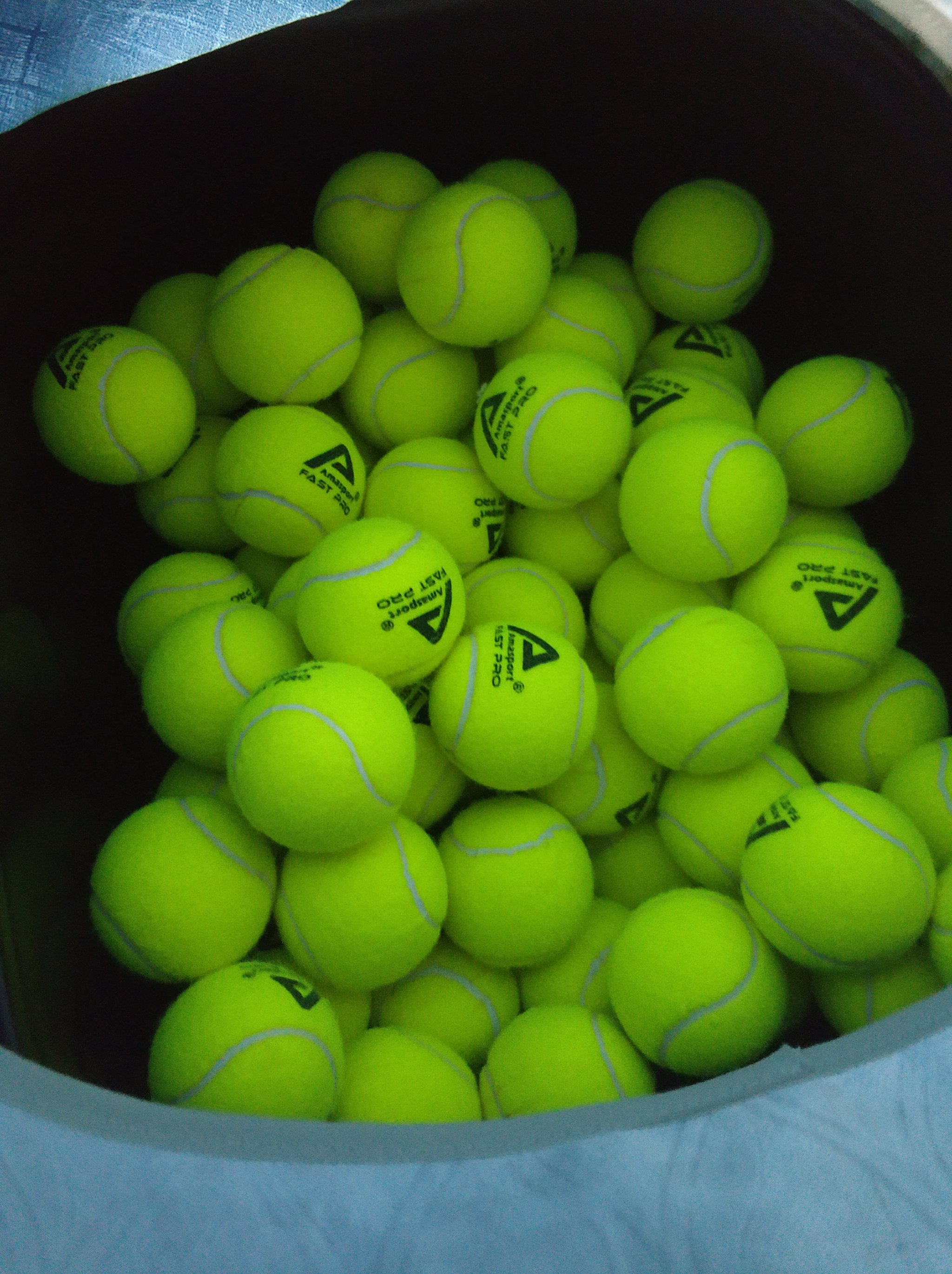 他是粉丝数 他是粉丝数